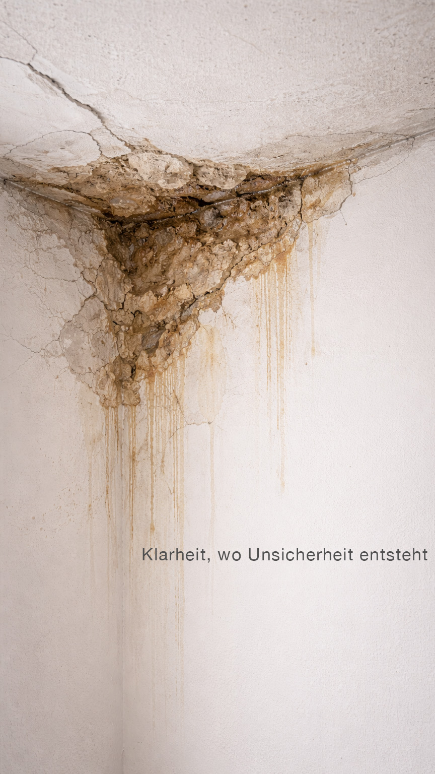 wasserschaden